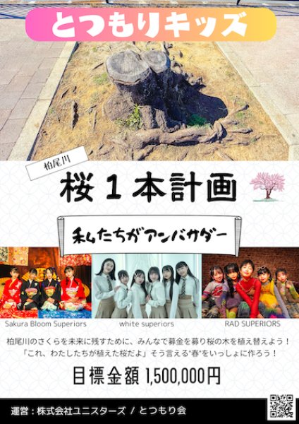 画像2: 桜募金  - 桜1本計画 「柏尾川に桜を植えよう」30,000円 (2)